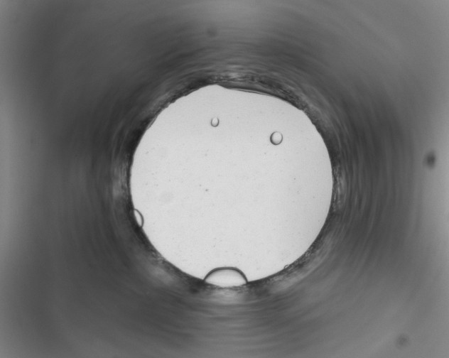 X0000116790236201001151108