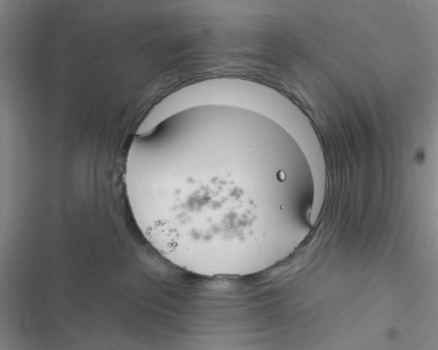 X0000116790237201001151108