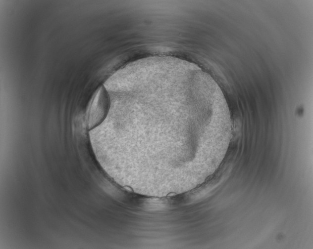 X0000116790238201001151108