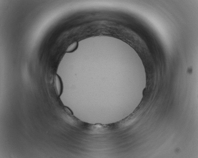 X0000116790239201001151108