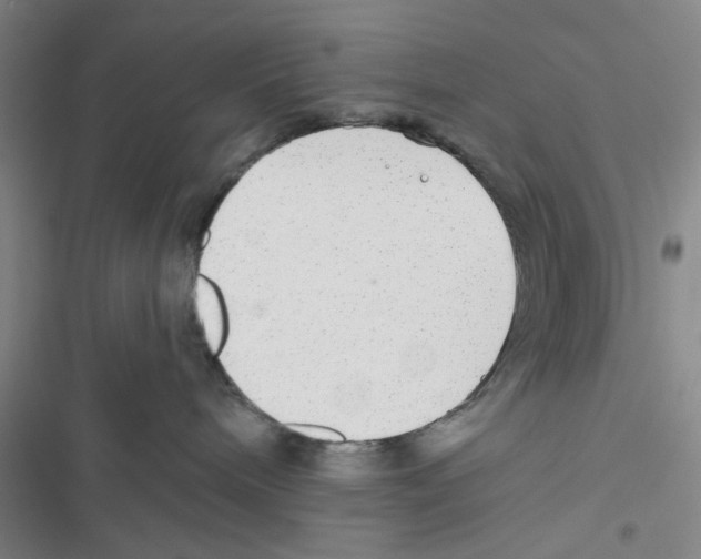 X0000116790240201001151108