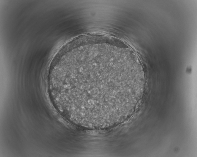 X0000116790241201001151107