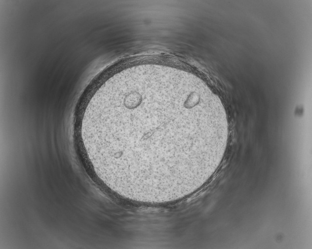 X0000116790242201001151107