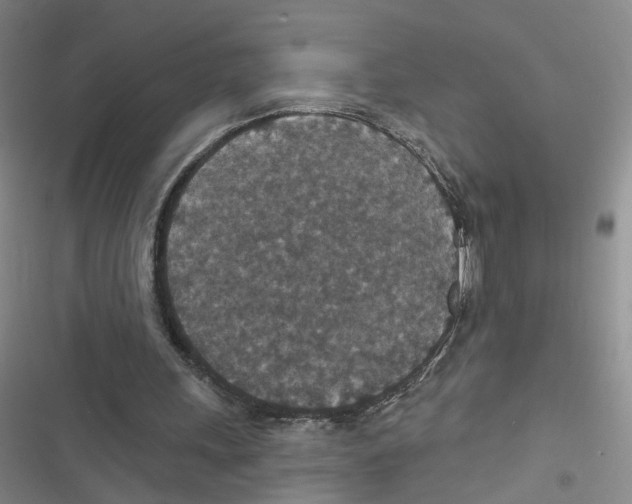 X0000116790243201001151107