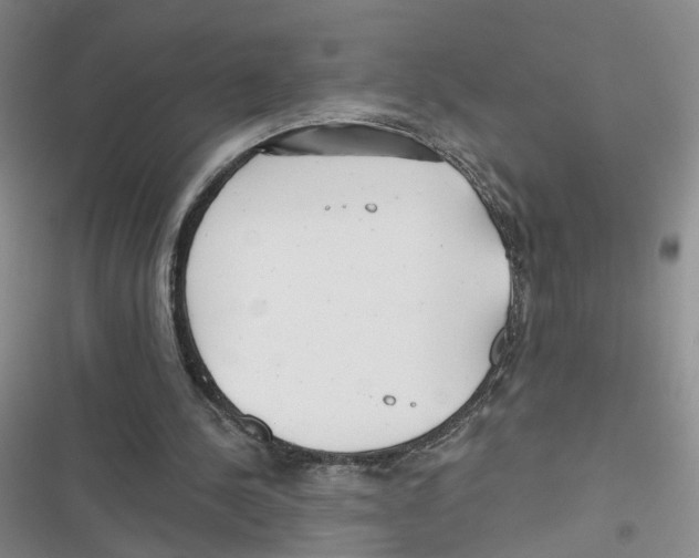 X0000116790244201001151107