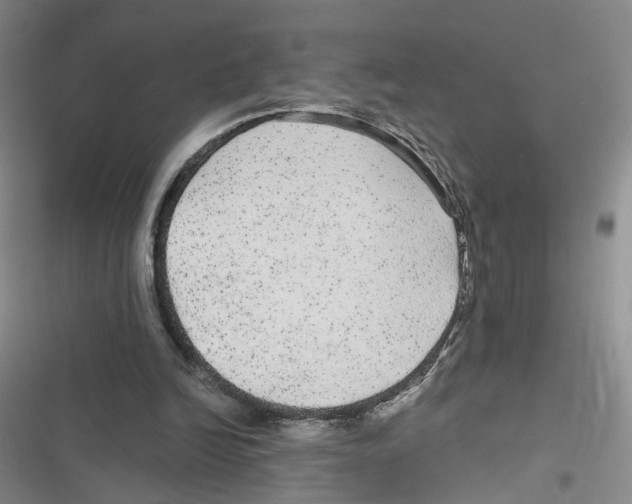 X0000116790246201001151107
