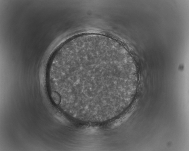 X0000116790247201001151107