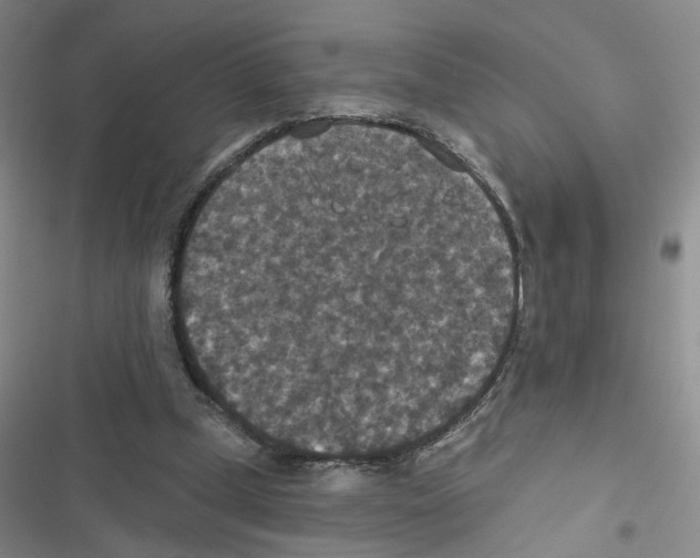 X0000116790249201001151107