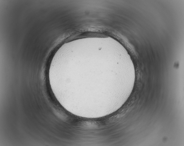 X0000116790250201001151107
