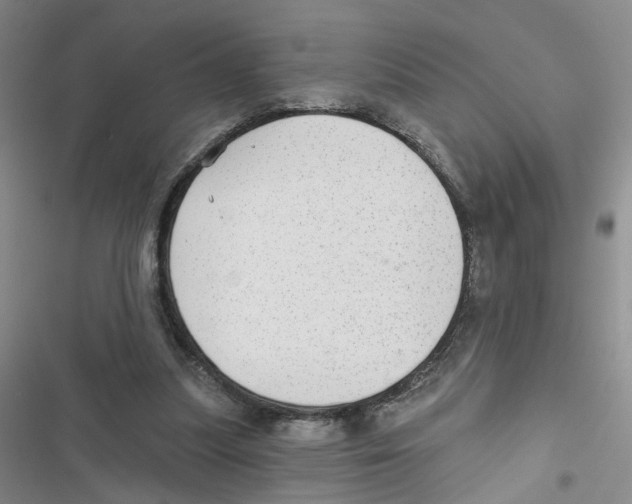 X0000116790251201001151107
