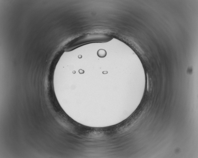 X0000116790252201001151107