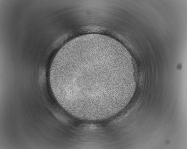 X0000116790254201001151107