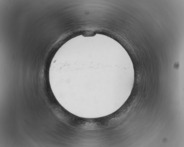 X0000116790256201001151107