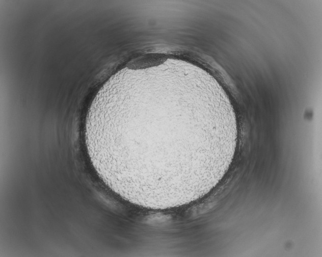 X0000116790257201001151107