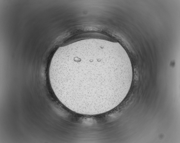 X0000116790258201001151107