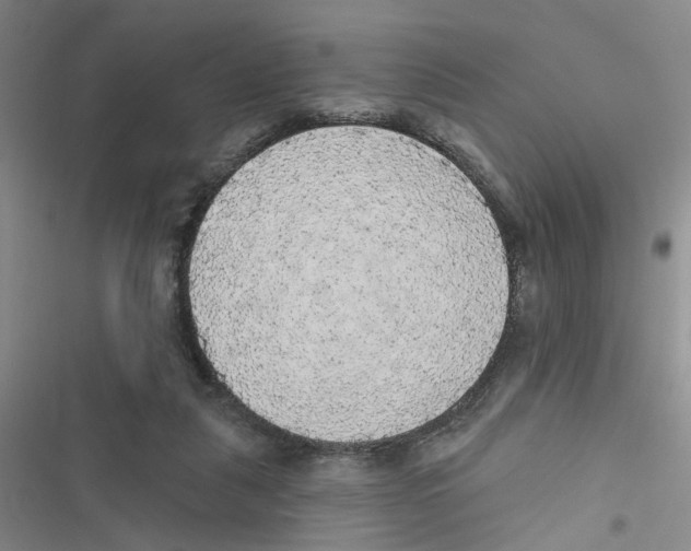 X0000116790259201001151107