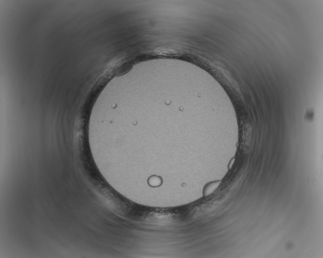 X0000116790260201001151108