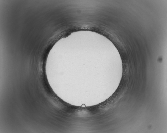 X0000116790262201001151108