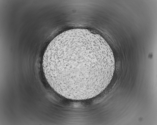 X0000116790264201001151108