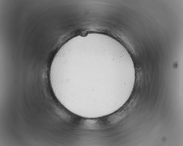 X0000116790265201001151108
