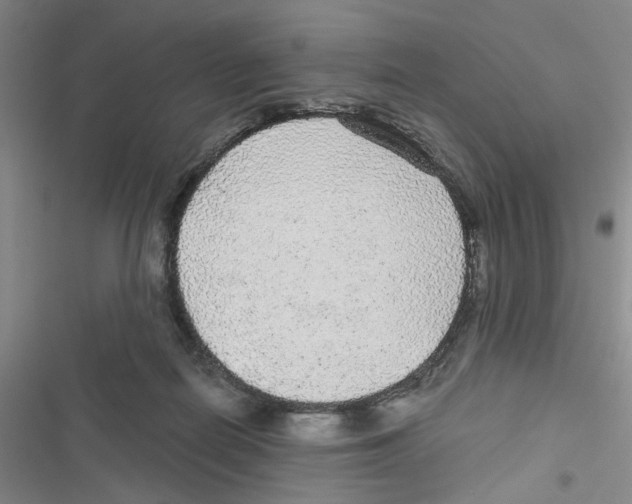 X0000116790266201001151108