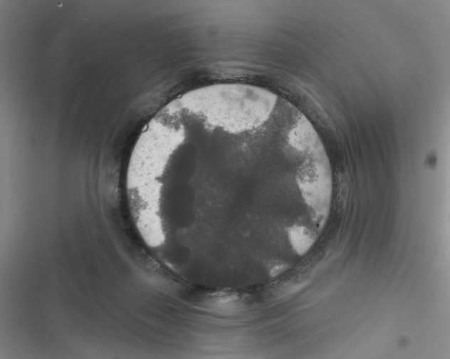 X0000116790267201001151108