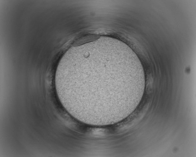 X0000116790268201001151108