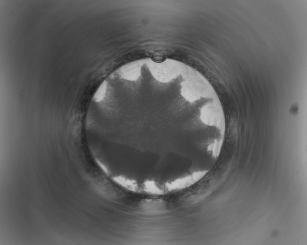 X0000116790271201001151108