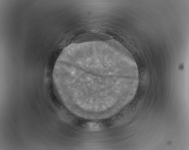 X0000116790272201001151108
