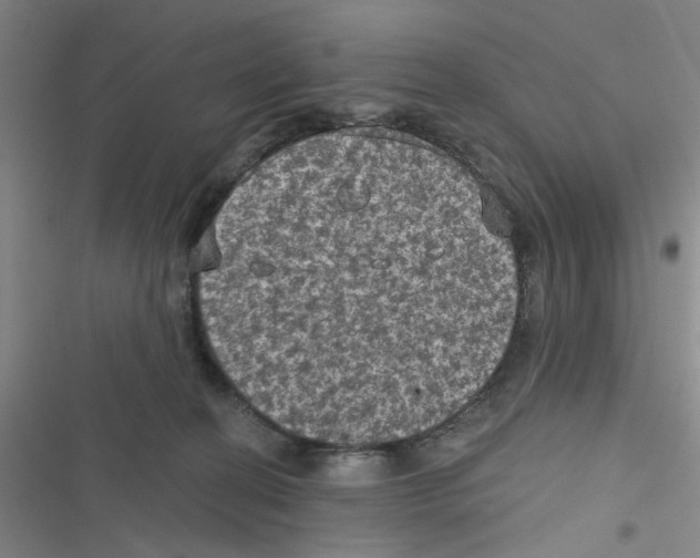 X0000116790274201001151108