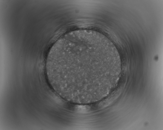 X0000116790277201001151108