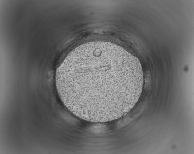 X0000116790278201001151108