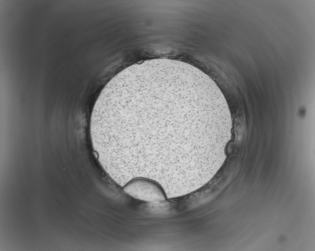X0000116790279201001151108