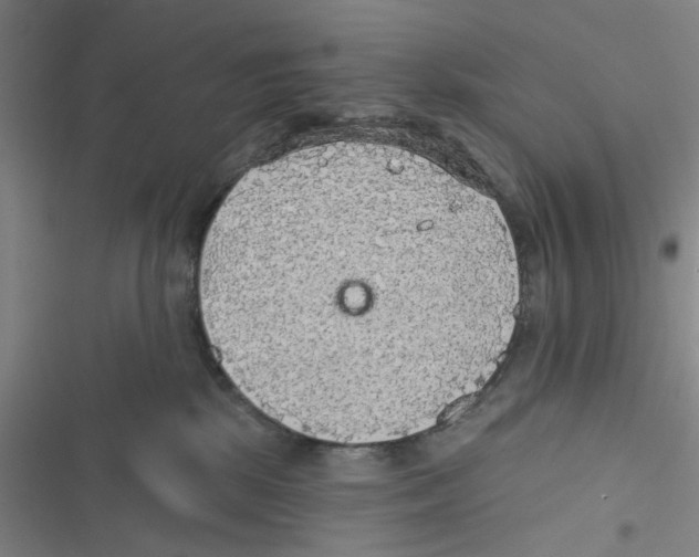 X0000116790281201001151108