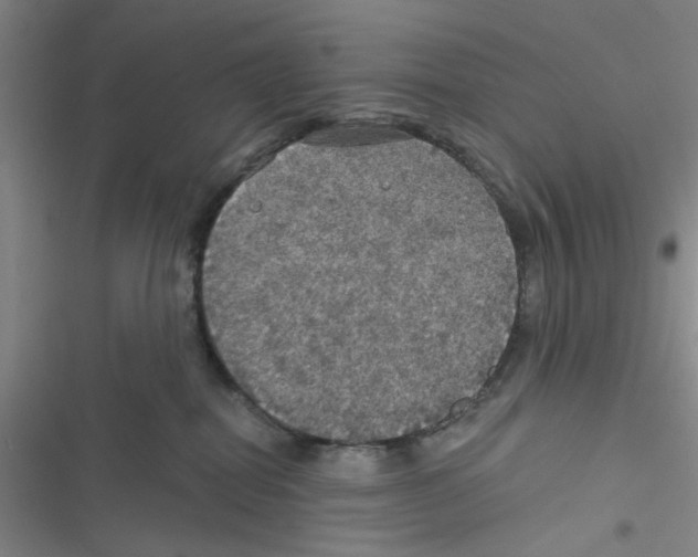 X0000116790282201001151108