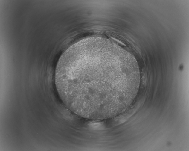 X0000116790283201001151108