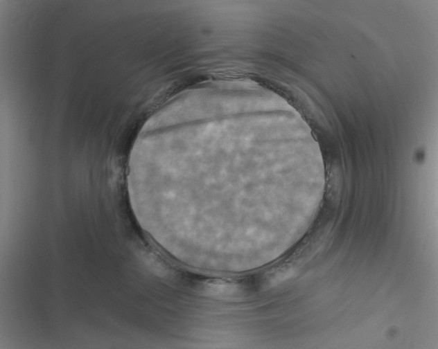 X0000116790284201001151108