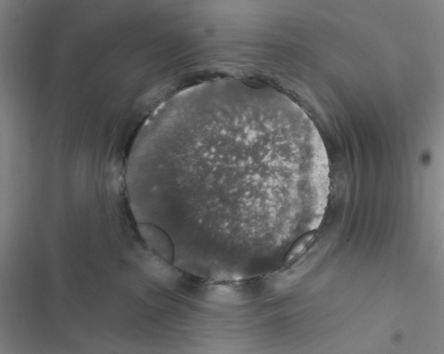 X0000116790285201001151108