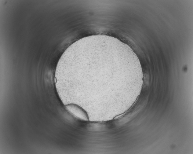 X0000116790286201001151108