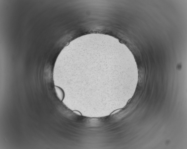 X0000116790287201001151108