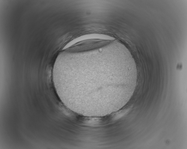 X0000116790288201001151108