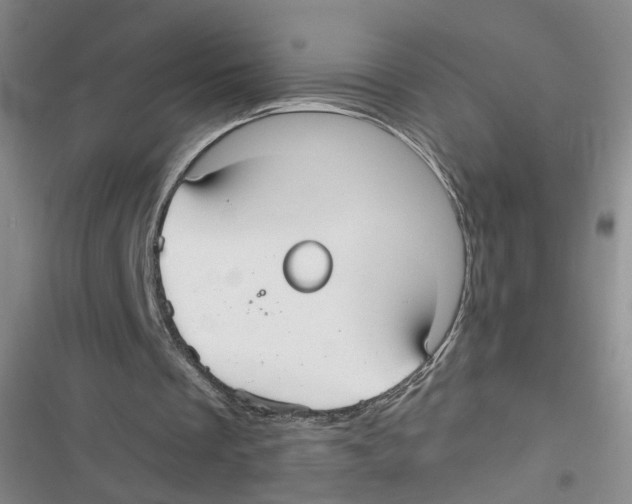 X0000116790289201001151107