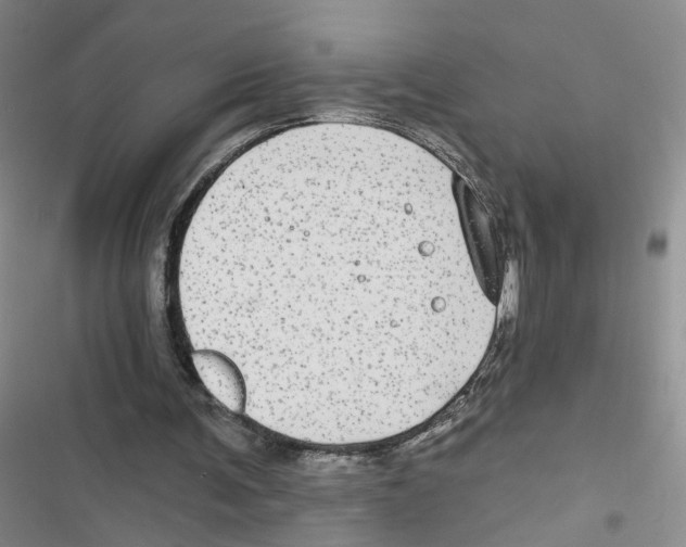 X0000116790291201001151107