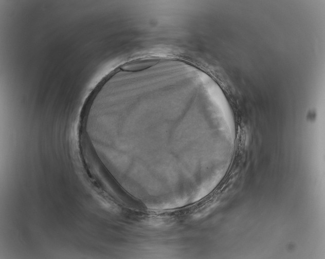 X0000116790292201001151107