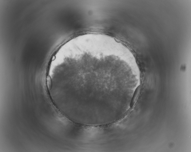 X0000116790293201001151107
