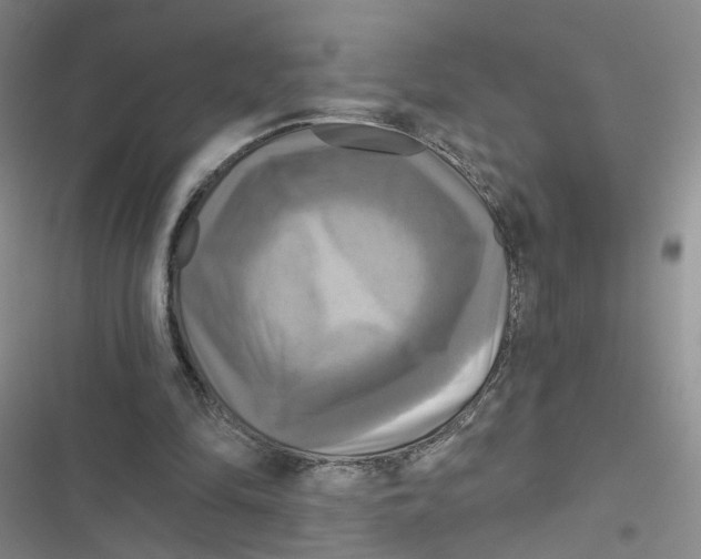 X0000116790294201001151107