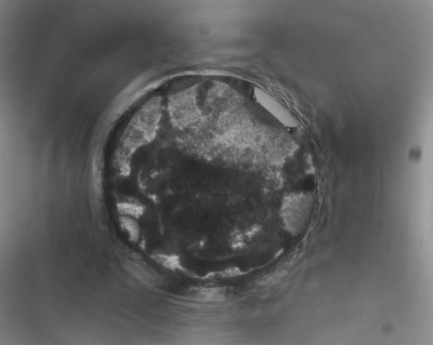 X0000116790295201001151107