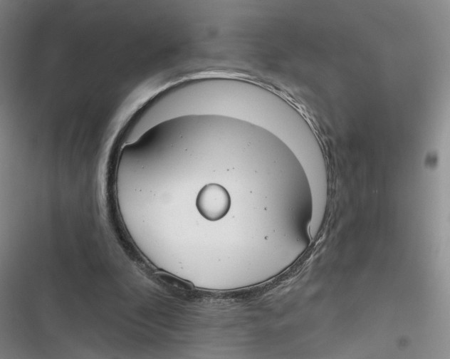 X0000116790296201001151107