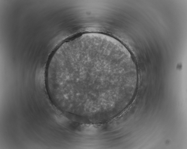 X0000116790297201001151107
