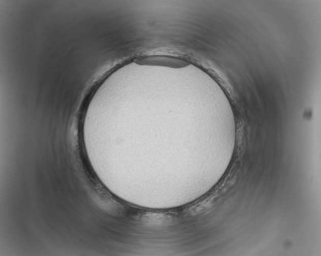 X0000116790298201001151107